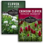 Clover Seed Collection for Planting - 2 Packets of Crimson & Dutch White Clover Seeds - Ground Cover & Pollinator Attractor - Non-GMO Heirloom Open-Pollinated Varieties - Survival Garden Seeds