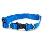 PetSafe KeepSafe Break-Away Collar, Prevent Collar Accidents for Your Dog or Puppy, Improve Safety, Compatible with Lead Use, Adjustable Sizes