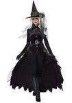 California Costumes Gothic Witch Adult Costume Small