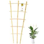 Jollybower 3PCS Fan-Shaped Bamboo Trellis, 2Ft Plant Trellis Indoor, Small Trellis for Potted Plants Indoor, Climbing Plants, Vegetables