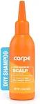 Carpe NEW, LARGER Sweat Absorbing Scalp Powder - Non Aerosol Dry Shampoo for Women & Men - Residue Free Oily Hair Treatment - Use Between Washes