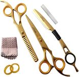 Professional barber hairdressing cutting stylist thinning scissors with feather sharp razor | salon haircutting shears comes in scissor case for men and women - Gold 6" inches