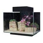 Aqua One PLATFORM 21 Aquarium Fish Tank 40cm 21L