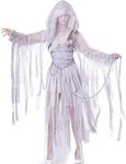 California Costumes Women's Haunting Beauty Costume Medium Silver