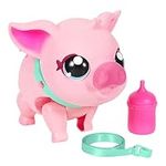 Little Live Pets - My Pet Pig: Pigg