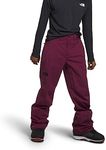 THE NORTH FACE Men's Freedom Stretch Pant - Regular, Boysenberry, Small Regular