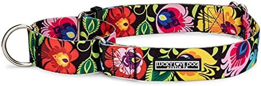 Lucky Love Dog Wide Martingale Collar | Premium No Slip Collar | Great for Whippets, Greyhounds, and More (Blackbird, Large Wide)