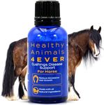 HA4E - Horse Digestive Support for Cushing’s Disease - Preventative Care - Highly Effective, Natural Homeopathic Supplement - 300 Tablets