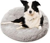 Premium Dog Beds for Large Dogs and Medium Dogs - Portable Dog Beds & Furniture - Dog Travel - Fits up to 45 lbs, (Medium, Light Grey)