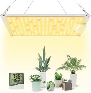 Grow Light