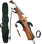 Aliyes Professional Handmade Solid Wood Electric Cello 4/4 Full Size Silent Electric Cello With bow, Case,Bridge Strings-DSDSN1808