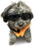 Enjoying Dog Goggles Small Breed, U