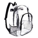 Transparent Backpack