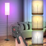 FUNNYBEHOM Floor Lamp with Remote Control, Floor Lamps for Living Room with Color Temperatures, Dimmable Standing Lamp with Pull Chain Switch,Timer, RGB Color Changing, Tall Lamps for Bedroom