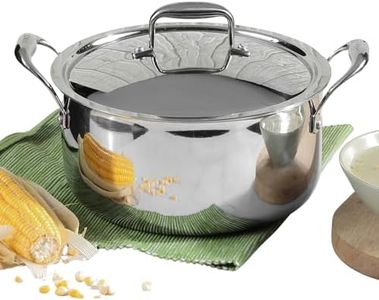 Vinod Platinum Triply Stainless Steel Saucepot with Lid - 3 Litre, 20 cm | 2.5mm Thick | SAS Metal | Biryani Pot | Induction and Gas Base | 5 Year Warranty - Silver
