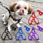 Dog Leash For Small Dogs