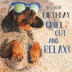 Abacus Cards Male/Female Birthday Card - General Funny Card for Men/Women - 'Chill Out and Relax' Dachshund Dog on Beach - Eco-Friendly & Recyclable - Made in the UK