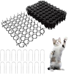 Pack of 24