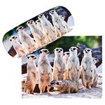 VON LILIENFELD Meerkat Surikate Hard Glasses Case with Cleaning Cloth, Lightweight, Stable, Women Men Motif Animal