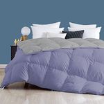 Day Care - 400 GSM Hotel Quality-Down Alternative Reversible Comforter (92" x 106" Inches/233cm x 269cm) - Comforter King Size|Silver/Medium Blue