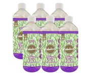 Fabulosa 4 in 1 Disinfectant and Deodoriser, Pet & Dog Friendly Artificial Lawn & Grass Cleaner, Urine Cleaner and Moss Growth Killer, Makes 300L, 1L, 6 Pack, Lavender