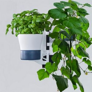 self watering wall vertical Garden planters for indoor plants, vertical wall mounted planters outdoor indoor, Balcony Patio Unique Herb Garden Planter Pots for Strawberry Orchid, Bird Squirrel Feeder