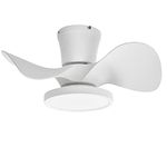 Roomratv Quiet Ceiling Fan with LED Light 3 CCT in One 22 inch DC Moter Large Air Volume Remote Control for Kitchen Bedroom Dining Room Patio White