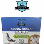 PIGEON DUMMY PLASTIC EGGS (24 PCS PACK)