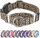 Hikiko Martingale Collar for Dogs C