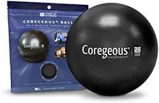 Yoga Tune Up Courageous Ball Inflatable 9" Air-Filled Sponge Jill Miller's Massage Therapy Stretching Exercise Ball