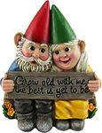 DWK 5.75" Growing Old Together Garden Gnome Couple in Love Best Friends Collectible Statue for Indoor Outdoor Garden and Home Decor