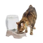 Petmate Pet Cafe Waterer Cat and Dog Water Dispenser 4 Sizes