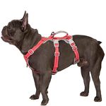 Huntboo Escape Proof Dog Harness, No Pull Reflective Harness with Lift Handle, Adjustable Pet Vest with Front and Back Leash Clips for Small Medium Large Dogs Walking Hiking Training (Red,M)