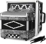 31-key adult accordion 12 bass in t