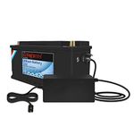 12V 100Ah Lithium LiFePO4 Battery 1280Wh Deep Cycle Lithium iron phosphate Rechargeable Battery Built-in BMS, Perfect for RV,Solar,Camping,Marine,Backup Power,Off-Grid Applications