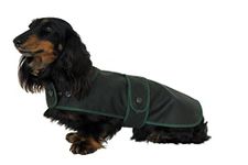 Cosipet Dachshund Hunter Coat, 15" (38 cm) green