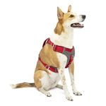 Kurgo Dog Harness for Medium, & Small Active Dogs, Pet Hiking Harness for Running & Walking, Everyday Harnesses for Pets, Reflective, Journey Air, Red/Grey 2018, Large