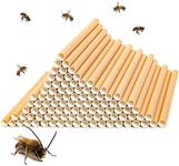 Mason Bee Nest 6mm Cardboard Tubes Refill (6 In, 100-Pack)