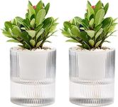 Self Watering Plant Pots 4" 2-PK Indoor Flower Pots with Water Storage and Wick Cotton Rope for Flowers, Herbs