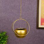 TIED RIBBONS Wall Ceiling Hanging Metal Planter For Plants Indoor Living Room Balcony Patio Garden Home Decoration (Metal), Pack Of 1, Brass