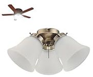 Ciata Modern Ceiling Fan Light Fixt