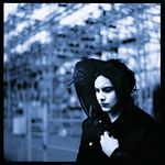 Blunderbuss (Vinyl)