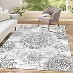 HEBE Boho Area Rug 4x6 Ft Non Slip Vintage Distressed Medallion Rug for Living Room Washable Soft Area Rug Indoor Throw Carpet for Dining Room Bedroom Bathroom Nursery