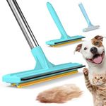 BoxZone 3 In 1 Carpet Rake for Pet