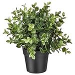 Ikea Artificial Potted Plant, Jade,