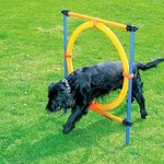 PAWISE Dog Agility Training Equipment, Puppy Agility Kit with Jump Ring, Adjustable Hurdles & Weave Poles, Outdoor Dog Obstacle Course for Backyard, Park Training, Portable Dogg Exercise Set