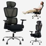 FLEXISPOT OC4 Plus Office Chair,Big