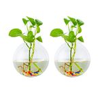 Wall Hanging Glass Planters 2Pcs Spherical Shape Plant Pots Terrarium Container Vase with 2.12 OZ Colorful Stones Indoor Outdoor for Home Garden Office Wedding