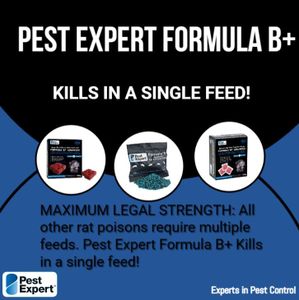 Pest Expert Rat Poison 1.2kg – Professional Rodent Killer Bait