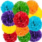 We Moment Rainbow Tissue Hanging Paper pom poms Decorations,Colour Tissue Hanging Paper Pom Poms Flower Ball Wedding Birthday Rainbow Party Baby Shower Decorate，6 Colors of 12 Inch, 10 Inch